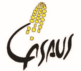 Logo_CASAUS NOIR ET JAUNE